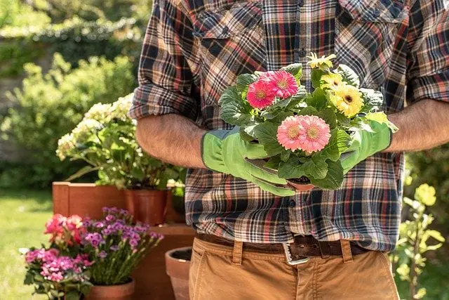 You are currently viewing Le top 5 des équipements indispensables du jardinier