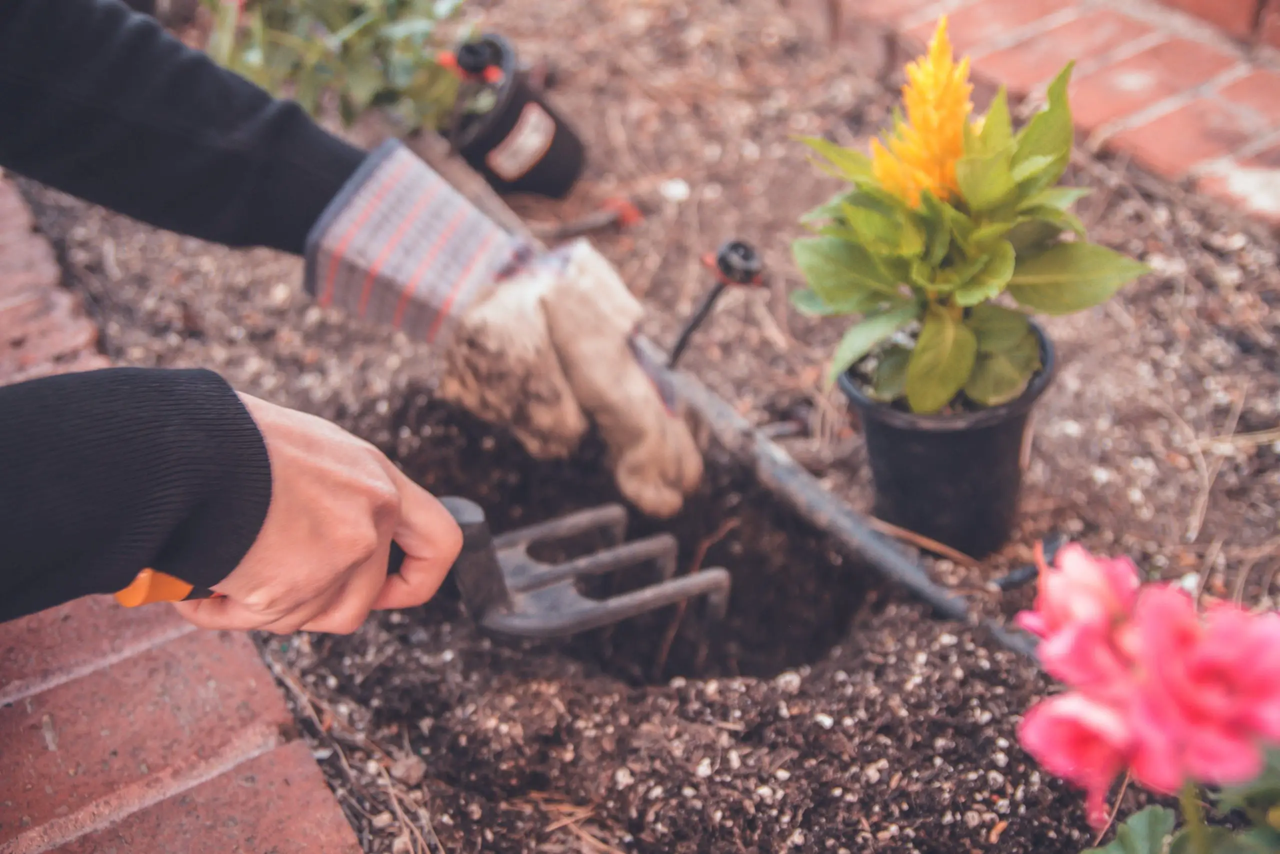You are currently viewing Comment aménager son jardin avec goût à l’aide d’un paysagiste ?