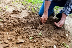 Lire la suite à propos de l’article Entretien de jardin : nos conseils pour devenir un jardinier hors pair