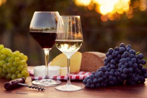Lire la suite à propos de l’article Domaine Claude et Christophe Bléger, une bonne adresse pour déguster du vin bio