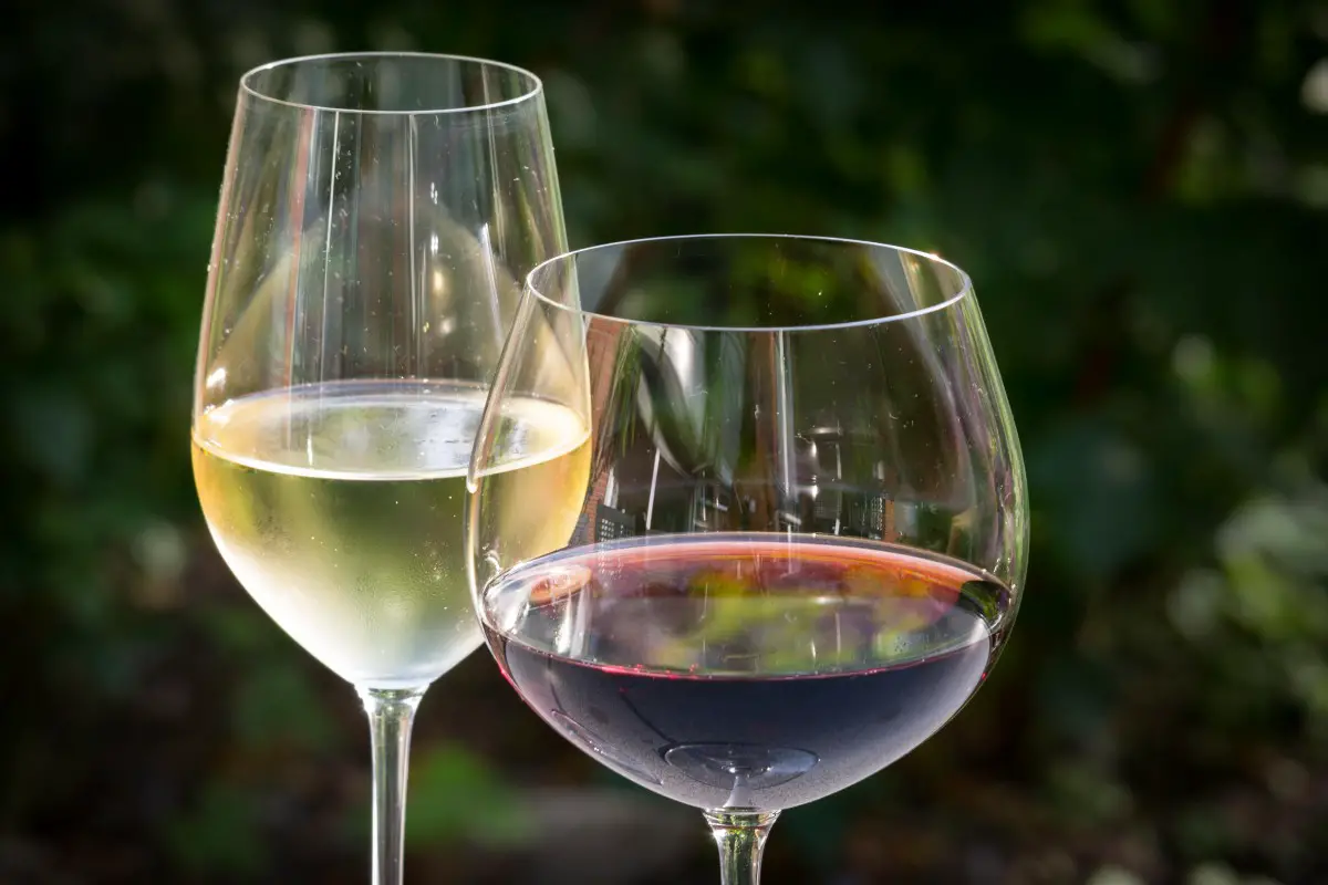 You are currently viewing Vin : quelle formation suivre pour devenir commercial en vin ?