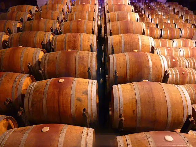 You are currently viewing Qu’est-ce que la fermentation alcoolique en viticulture ?