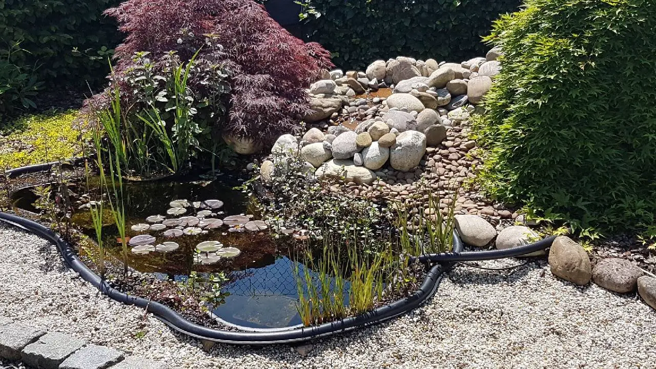 Lire la suite à propos de l’article Comment installer votre bassin de jardin ?